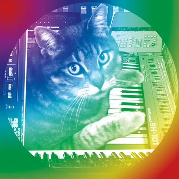 Data Cat