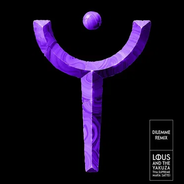 Dilemme (remix)