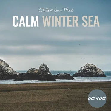 Calm Winter Sea: Chillout Your Mind by Various Artists - album cover