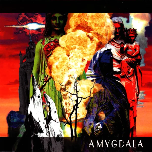 Amygdala