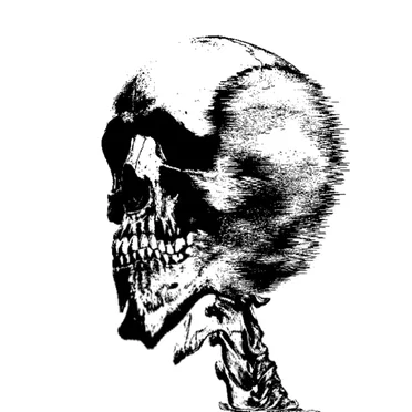 Rot