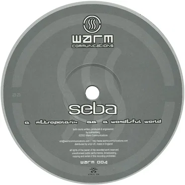 Metropolaris / A Wonderful World