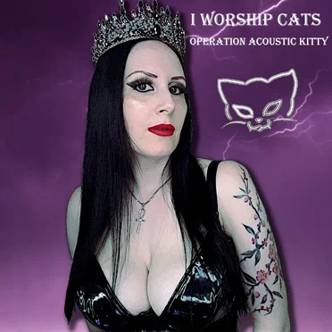 Operation Acoustic Kitty by I Worship Cats - album cover