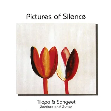Pictures of Silence