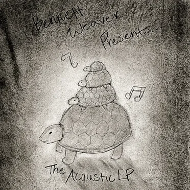 The Acoustic LP