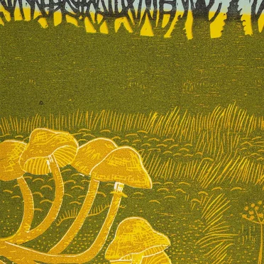 Rural Tapes