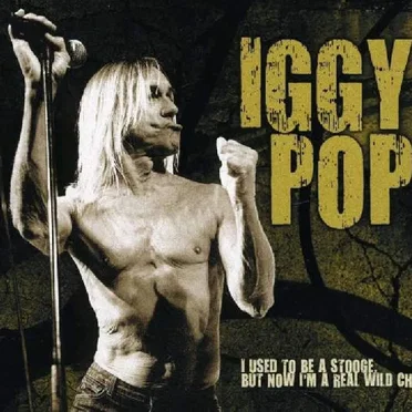 I Used to Be a Stooge, but Now I'm a Real Wild Child