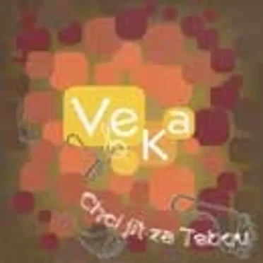 Chci jít za Tebou by VeKa - album cover