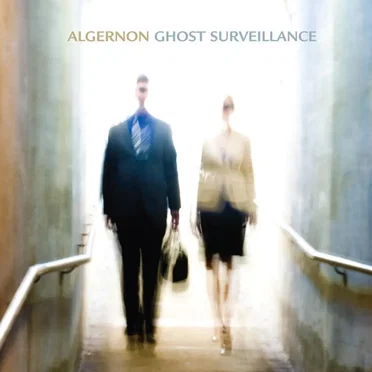 Ghost Surveillance