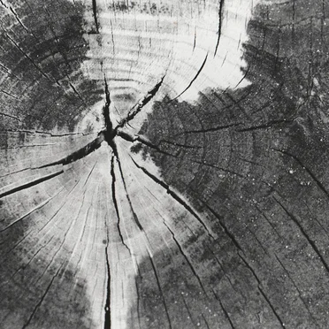 Live at Dachgalerie, München Germany. May 10th 2003