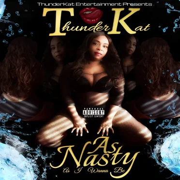 As Nasty As I Wanna Be by Thunderkat - album cover