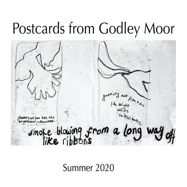 Postcards from Godley Moor, Summer 2020