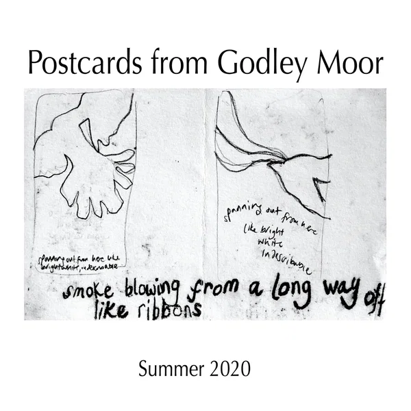 Postcards from Godley Moor, Summer 2020