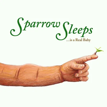 ... Is a Real Baby: Lullaby Renditions of Say Anything Songs