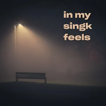 in my singk feels by Various Artists - album cover