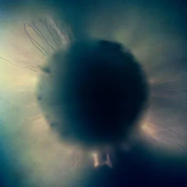 The Existence Of Nothing