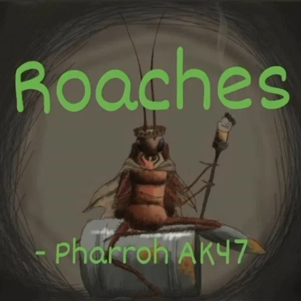 Roaches