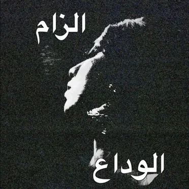 Ilzam | Alvida by Aurat - album cover