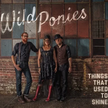 Things That Used To Shine by Wild Ponies - album cover