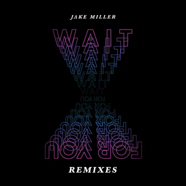 Wait For You (remixes)