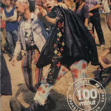 Punks Not Dead, Vol. 2 by Various Artists - album cover