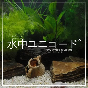 水中ユニコード˚ [ NEON TETRA REMASTER ] by カイヤン〜 - album cover