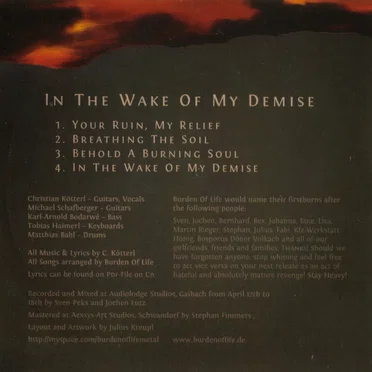 In the Wake of My Demise