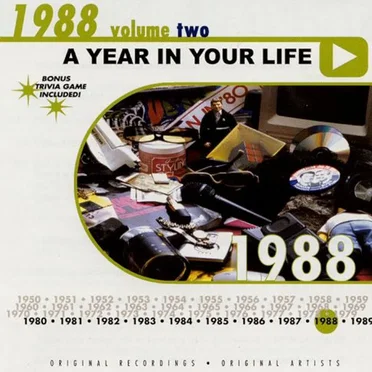 A Year in Your Life: 1988, Volume Two by Various Artists - album cover