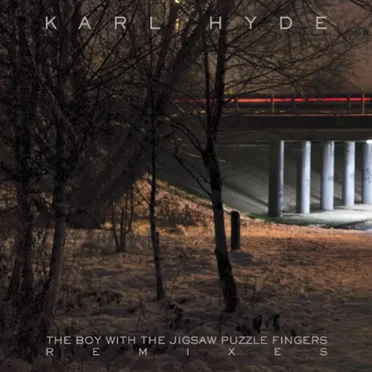 The Boy with the Jigsaw Puzzle Fingers