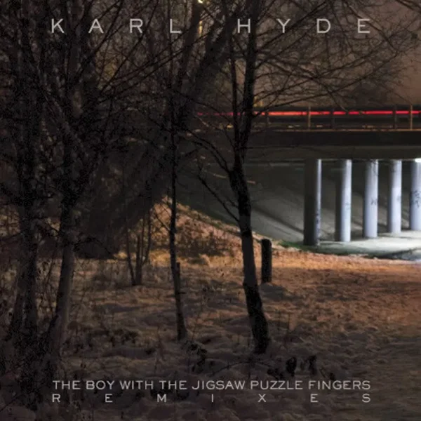 The Boy with the Jigsaw Puzzle Fingers