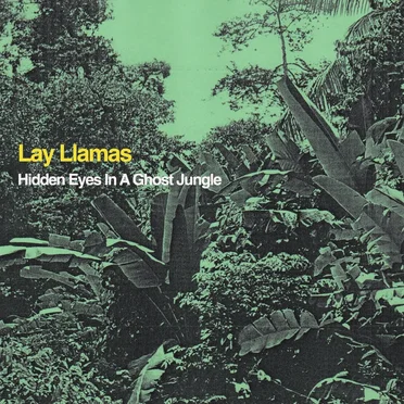 Hidden Eyes in a Ghost Jungle