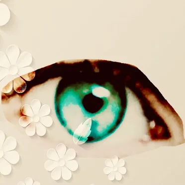 Thorn by Anna O'Bryan - album cover