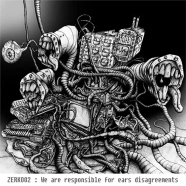 We Are Responsible for Ears Disagreements by Various Artists - album cover