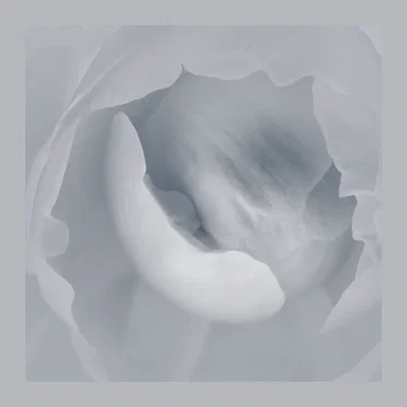 The Fabric of Silence