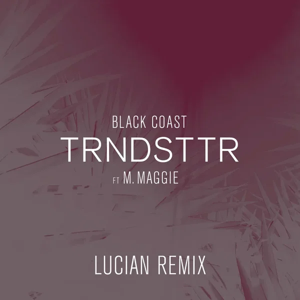Trndsttr (Lucian remix)