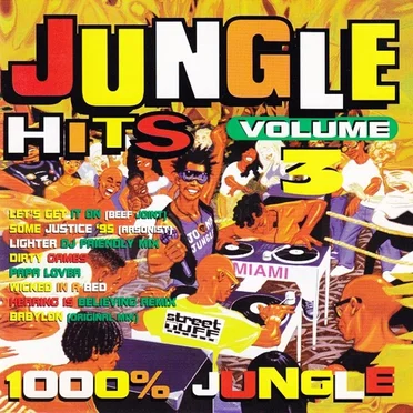 Jungle Hits, Volume 3 by Various Artists - album cover