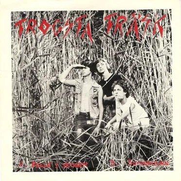 Pelle i skogen by Trogsta Träsk - album cover