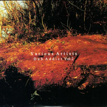 Dub Addict Vol.2 by Various Artists - album cover