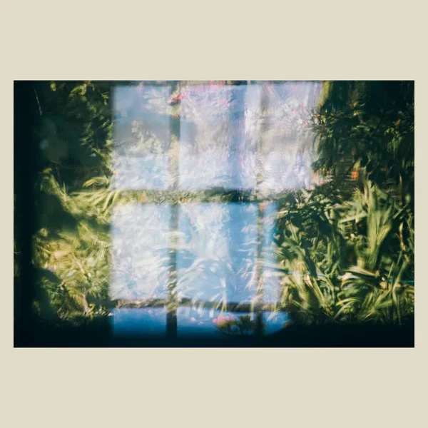 Music for Growing Flowers, Pt. 5