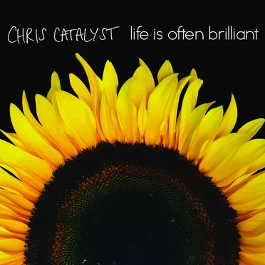 Life Is Often Brilliant
