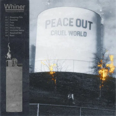 Peace Out Cruel World