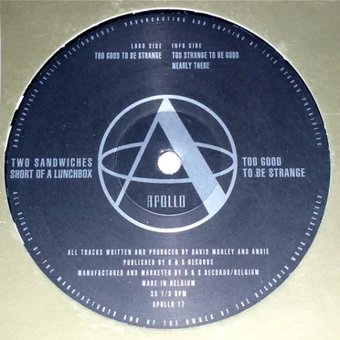Too Good to Be Strange by Two Sandwiches Short of a Lunchbox - album cover