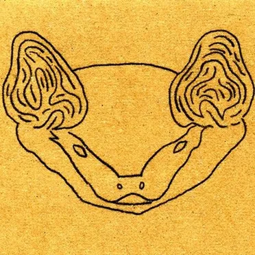 Bat