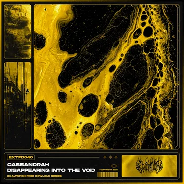 Disappearing Into the Void