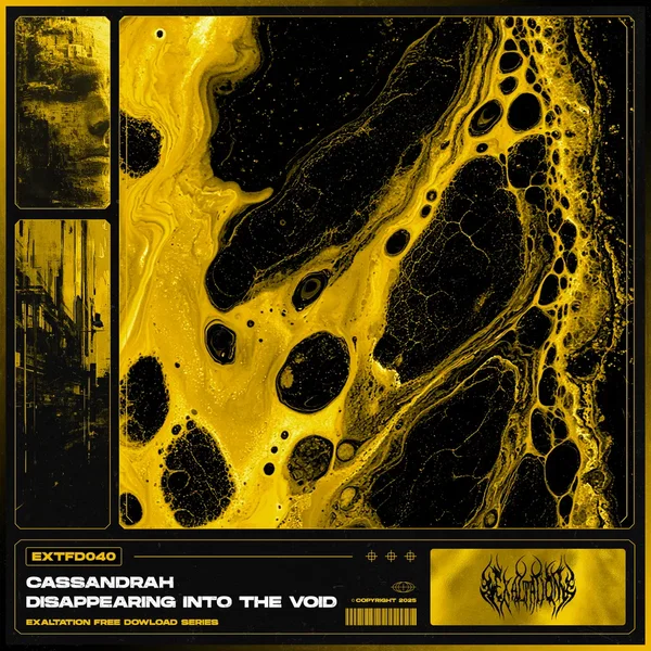 Disappearing Into the Void