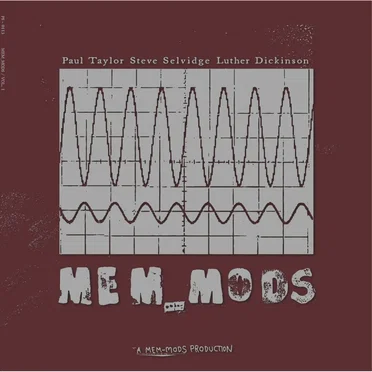 MEM_MODS
