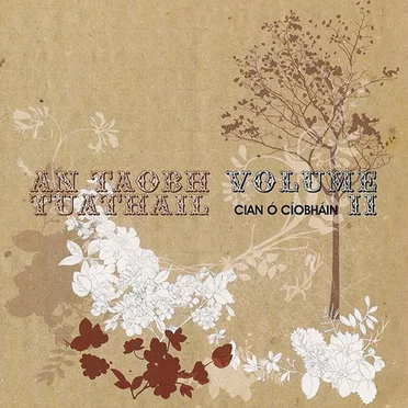 An Taobh Tuathail Volume II by Various Artists - album cover
