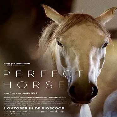 Perfect Horse (Original Soundtrack)