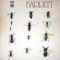 Syd Barrett artist image