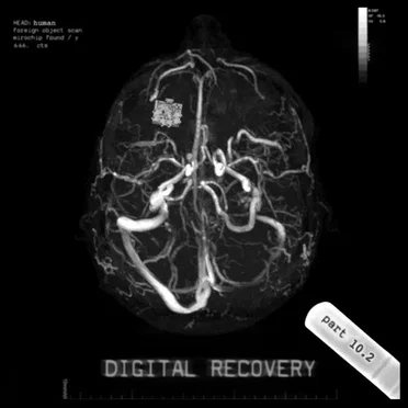 Digital Recovery, Part 10.2 by Various Artists - album cover